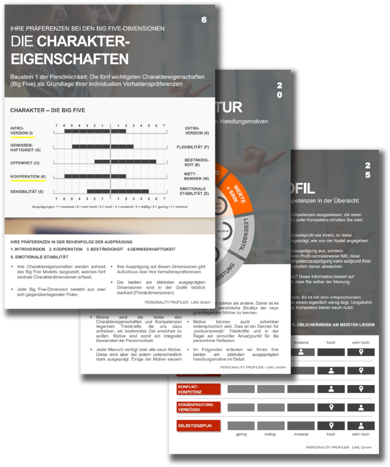 LPP Motive und Antreiber